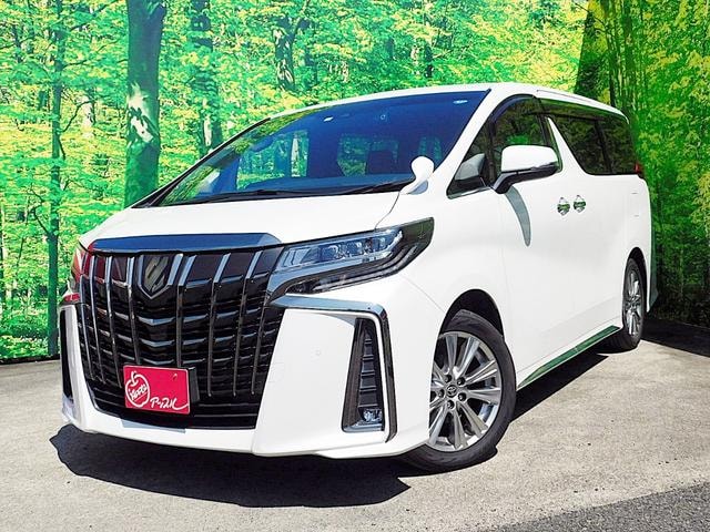 Toyota ALPHARD 2021 — фото автомобиля 1