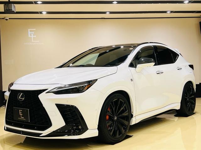 Lexus NX 2023 — фото автомобиля