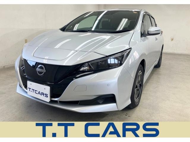 Nissan LEAF 2025 — фото автомобиля 1