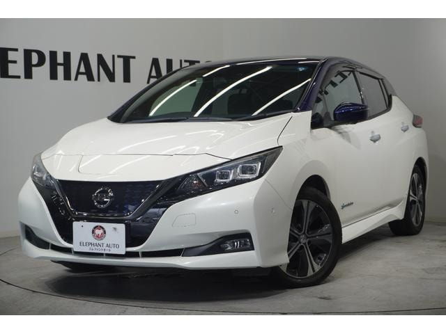 Nissan LEAF 2018 — фото автомобиля 1