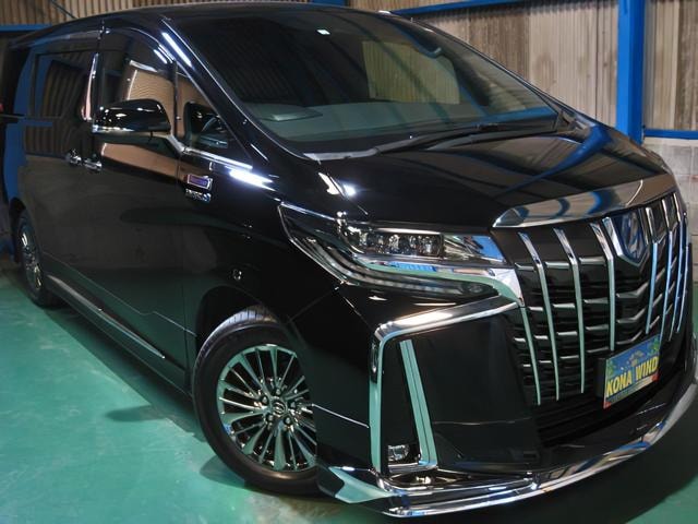 Toyota ALPHARD HYBRID 2019 — фото автомобиля