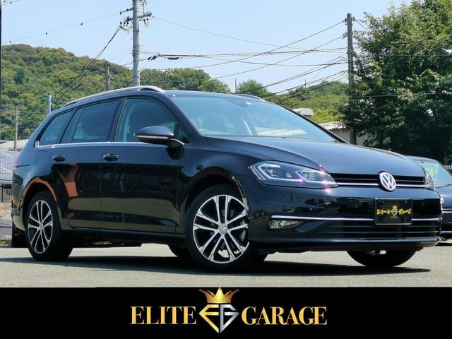 Volkswagen GOLF VARIANT 2019 — фото автомобиля