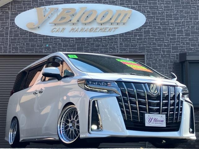 Toyota ALPHARD 2021 — фото автомобиля 1