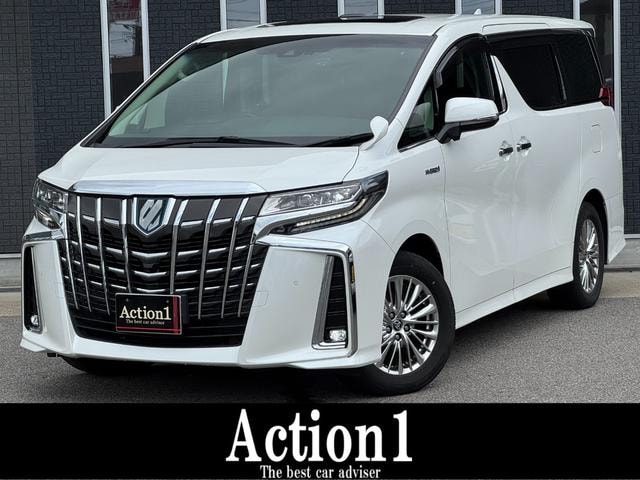 Toyota ALPHARD HYBRID 2019 — фото автомобиля
