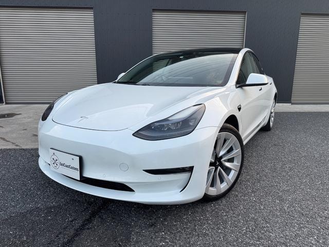 Tesla MODEL 3 2021 — фото автомобиля 1