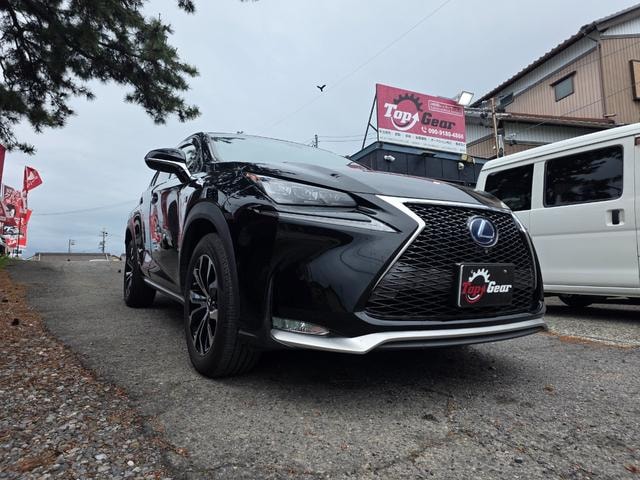 Lexus NX 2015 — фото автомобиля 1