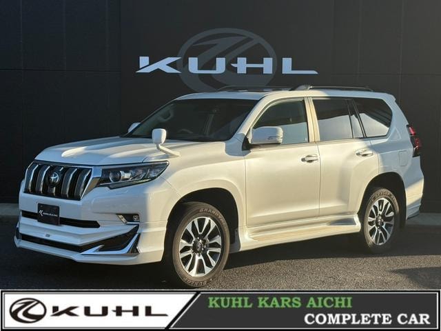 Toyota LAND CRUISER PRADO 2022 — фото автомобиля