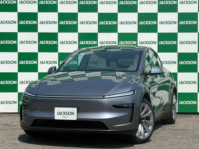 Tesla MODEL Y 2025 — фото автомобиля