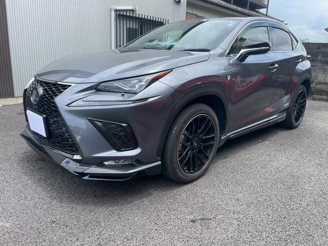 Lexus NX 2019 — фото автомобиля 1