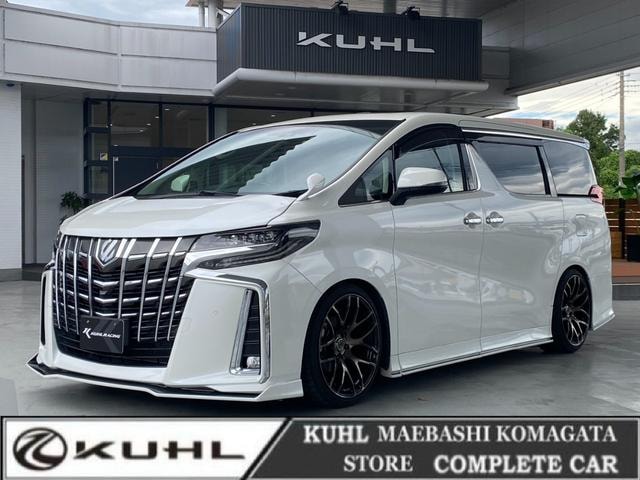 Toyota ALPHARD 2023 — фото автомобиля