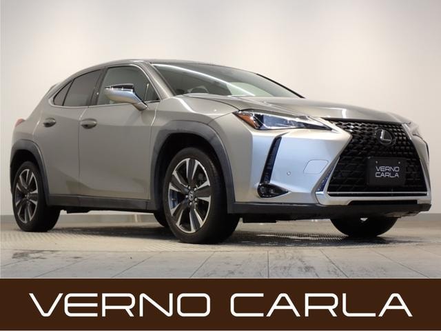 Lexus UX 2020 — фото автомобиля