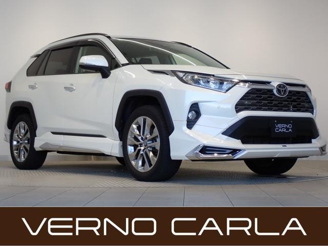 Toyota RAV4 2019 — фото автомобиля 1