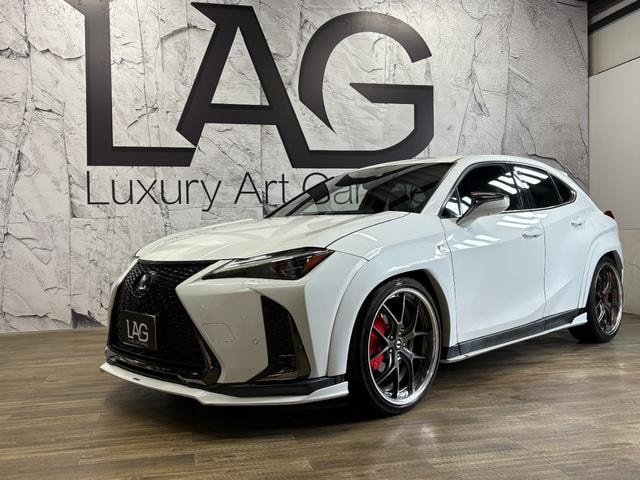 Lexus UX 2019 — фото автомобиля 1