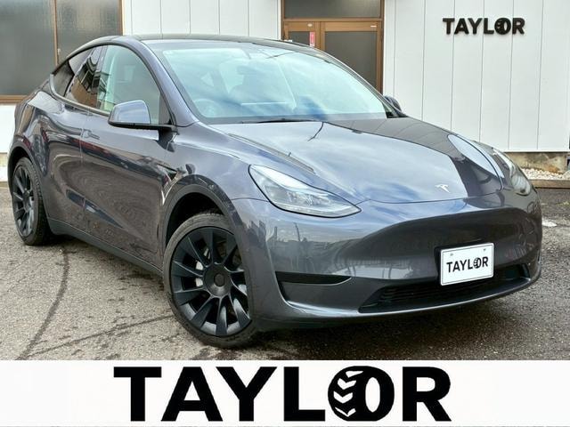 Tesla MODEL Y 2022 — фото автомобиля 1
