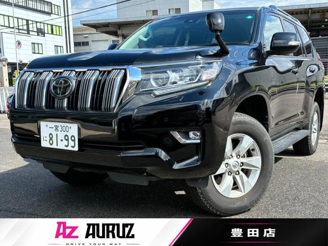 Toyota LAND CRUISER PRADO 2021 — фото автомобиля