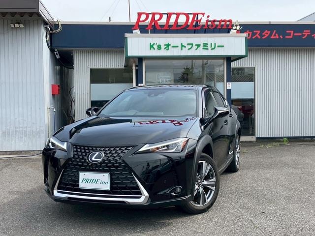 Lexus UX 2022 — фото автомобиля 1