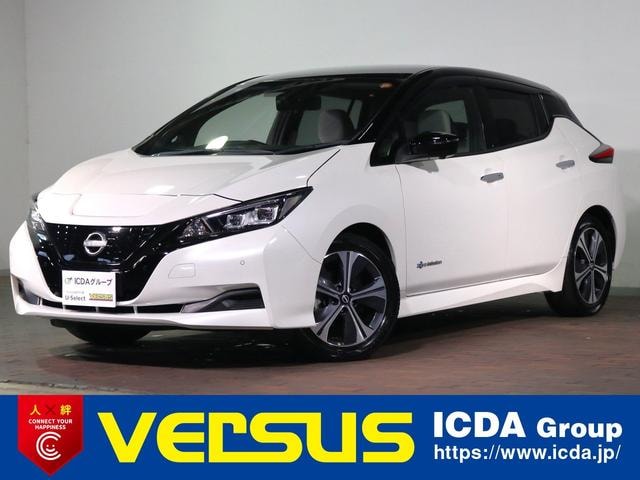 Nissan LEAF 2021 — фото автомобиля 1