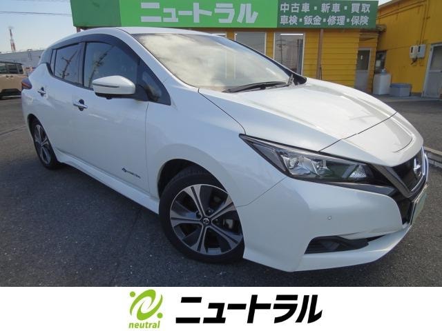 Nissan LEAF 2019 — фото автомобиля 1