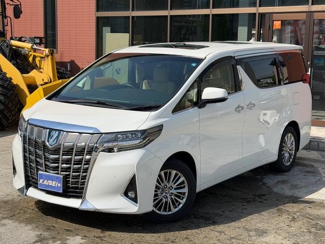 Toyota ALPHARD HYBRID 2023 — фото автомобиля