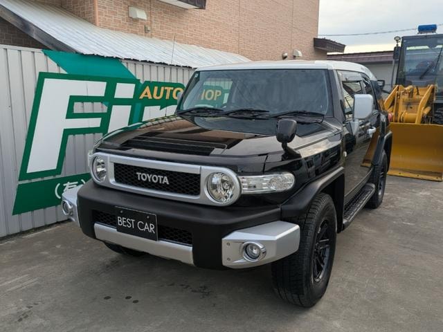 Toyota FJ CRUISER 2013 — фото автомобиля