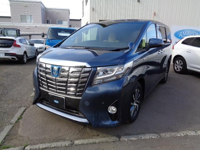 Toyota ALPHARD HYBRID 2018 — фото автомобиля