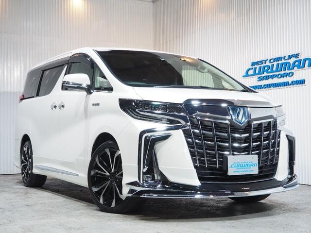 Toyota ALPHARD HYBRID 2019 — фото автомобиля