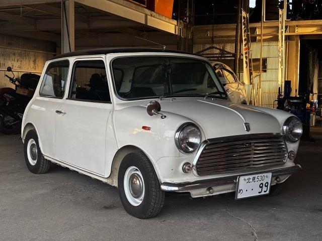 Rover MINI 1982 — фото автомобиля 1