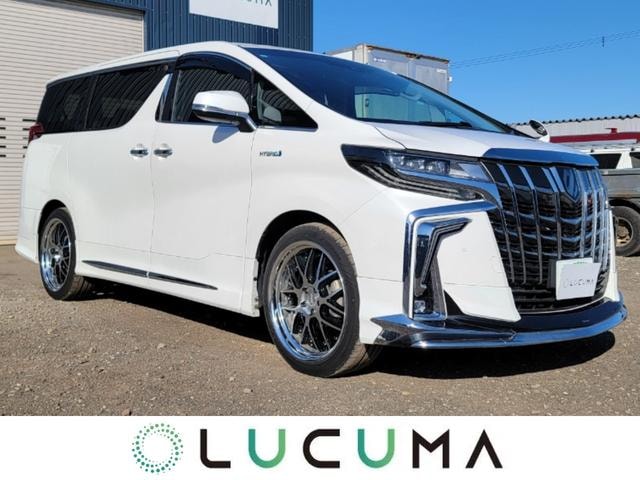 Toyota ALPHARD HYBRID 2019 — фото автомобиля