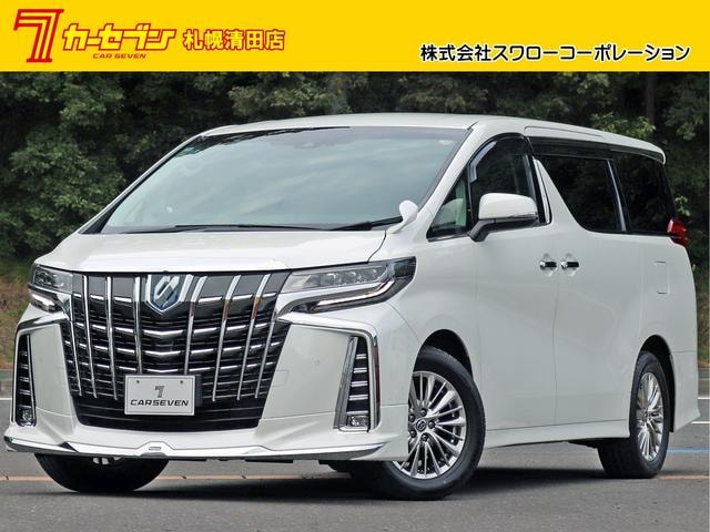 Toyota ALPHARD HYBRID 2022 — фото автомобиля