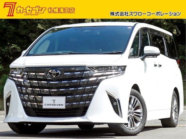 Toyota ALPHARD HYBRID 2023 — фото автомобиля