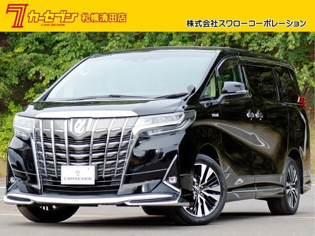 Toyota ALPHARD HYBRID 2019 — фото автомобиля
