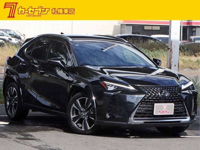 Lexus UX 2023 — фото автомобиля