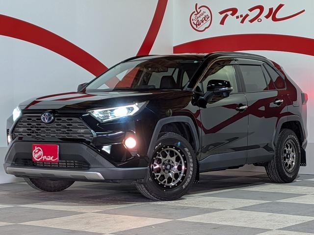 Toyota RAV4 2021 — фото автомобиля 1