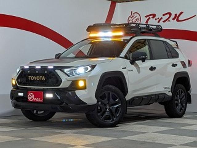 Toyota RAV4 2019 — фото автомобиля 1