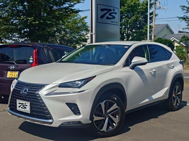 Lexus NX 2019 — фото автомобиля 1