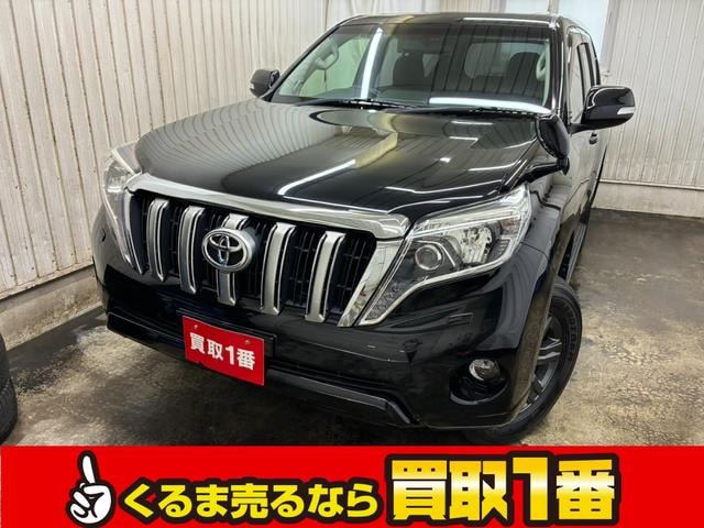 Toyota LAND CRUISER PRADO 2014 — фото автомобиля