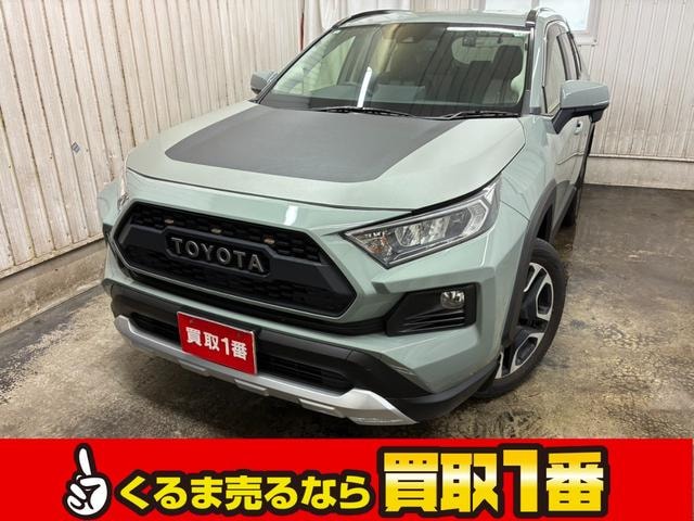 Toyota RAV4 2019 — фото автомобиля 1