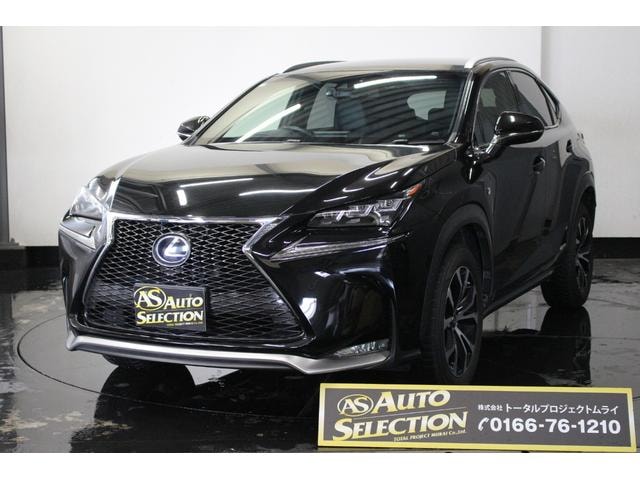 Lexus NX 2014 — фото автомобиля 1