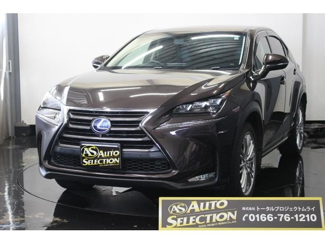 Lexus NX 2014 — фото автомобиля 1