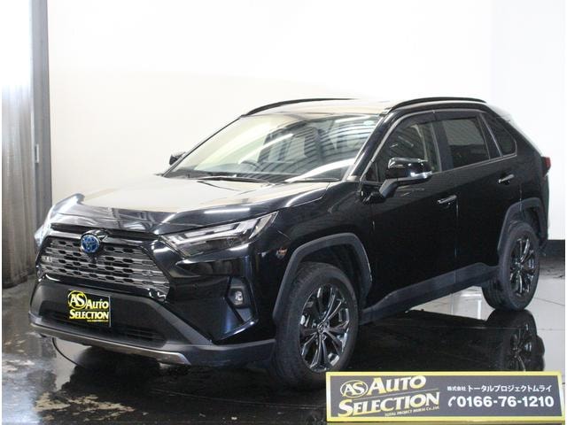 Toyota RAV4 2022 — фото автомобиля 1