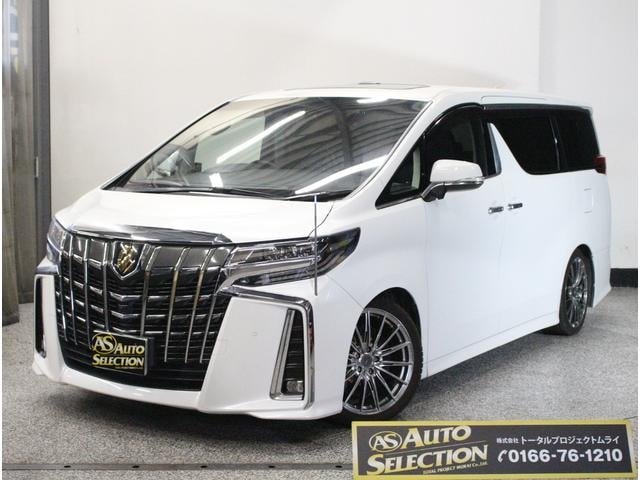 Toyota ALPHARD HYBRID 2019 — фото автомобиля