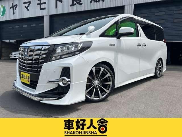 Toyota ALPHARD HYBRID 2017 — фото автомобиля