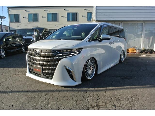 Toyota ALPHARD HYBRID 2023 — фото автомобиля