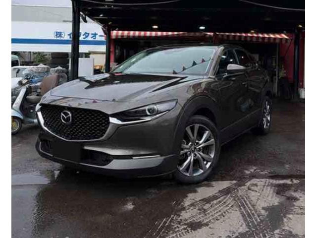 Mazda CX-30 2019 — фото автомобиля 1