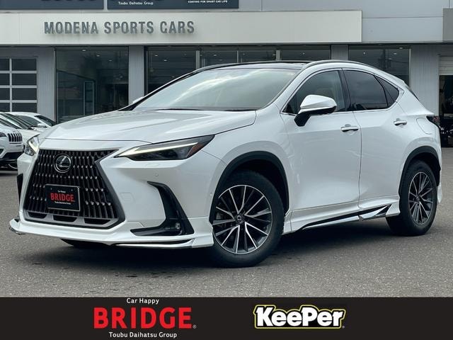 Lexus NX 2023 — фото автомобиля 1