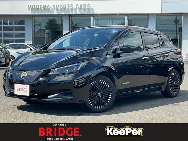 Nissan LEAF 2022 — фото автомобиля 1