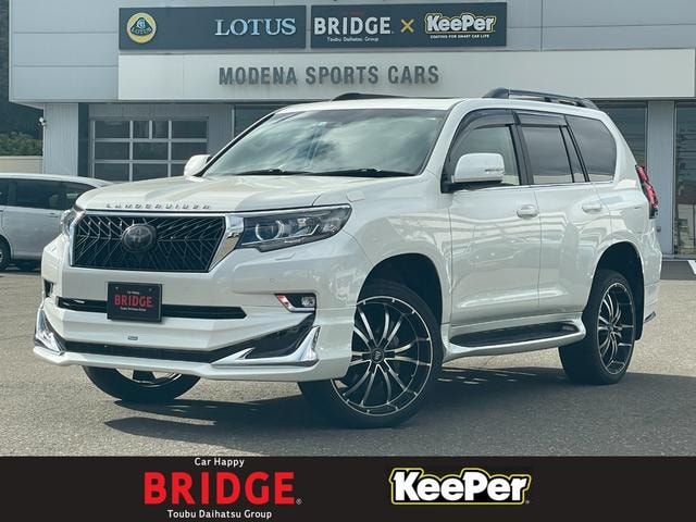Toyota LAND CRUISER PRADO 2022 — фото автомобиля