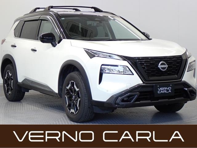 Nissan X-TRAIL 2022 — фото автомобиля 1