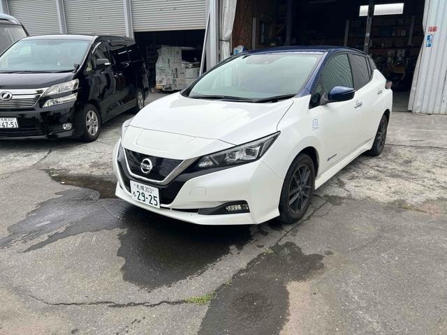 Nissan LEAF 2017 — фото автомобиля