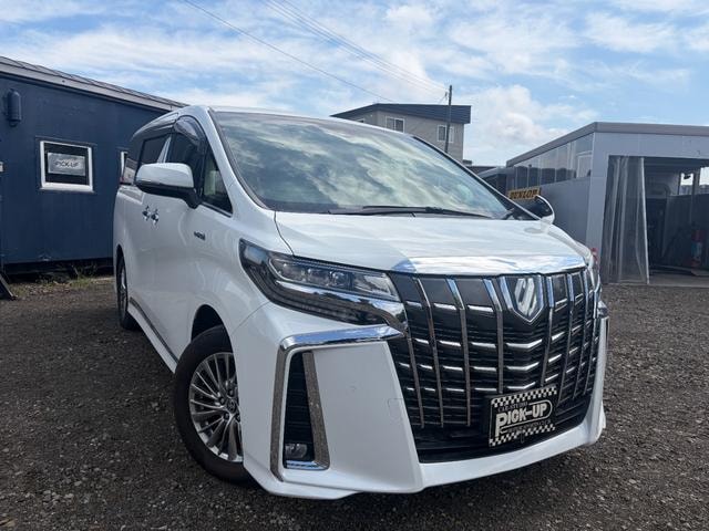 Toyota ALPHARD HYBRID 2019 — фото автомобиля 1